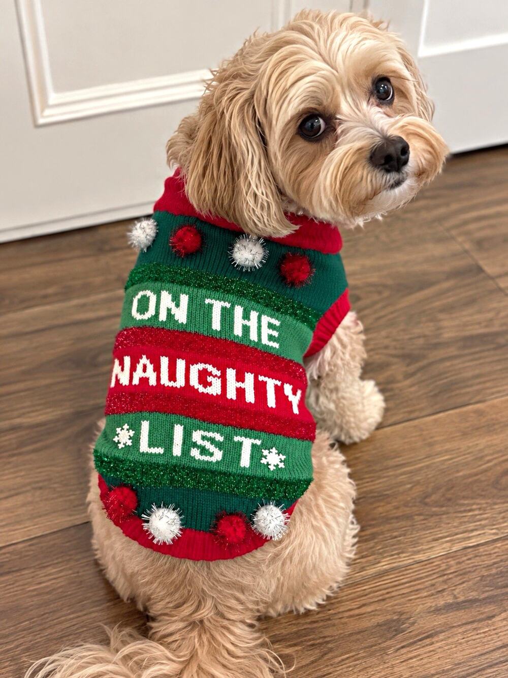 Merry & Bright Collection Christmas Dog Sweater Warm Acrylic S Green Red White